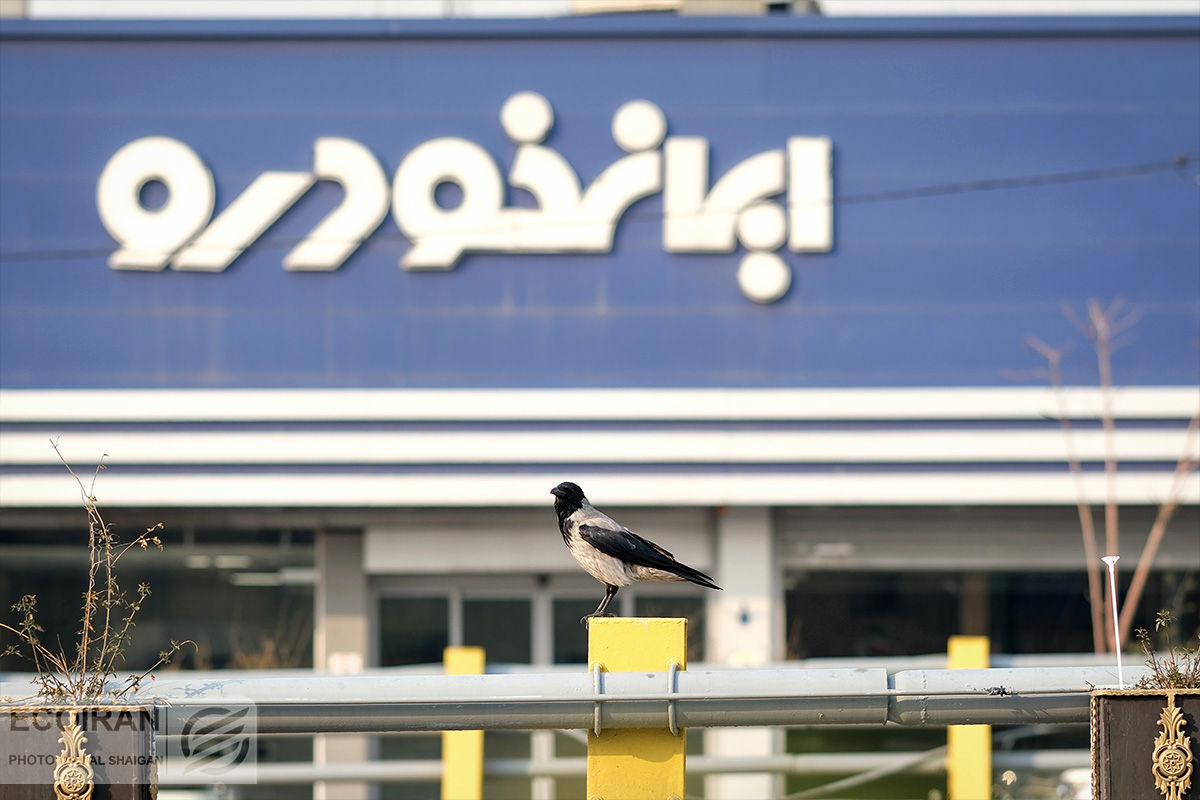 آغاز فروش فوری ایران خودرو با قیمت قطعی + جدول