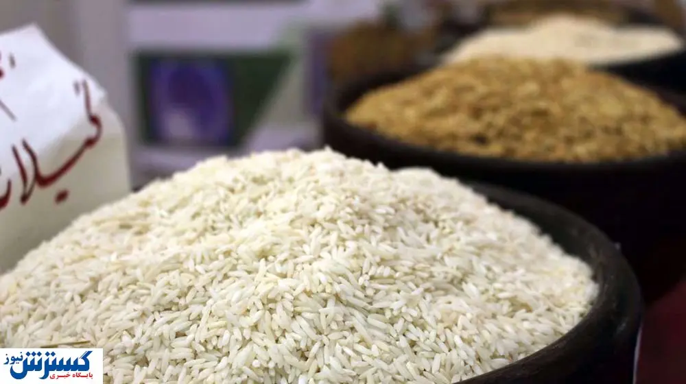 برنج درجه یک ایرانی ۱۵۵ درصد گران شد؛ کمبود کالری در سفرهها برنج درجه یک ایرانی ۱۵۵ درصد گران شد؛ کمبود کالری در سفرهها