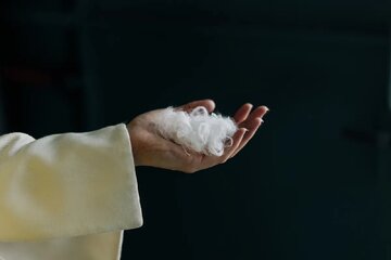 تبدیل پر مرغ به پارچه نفیس کشمیر