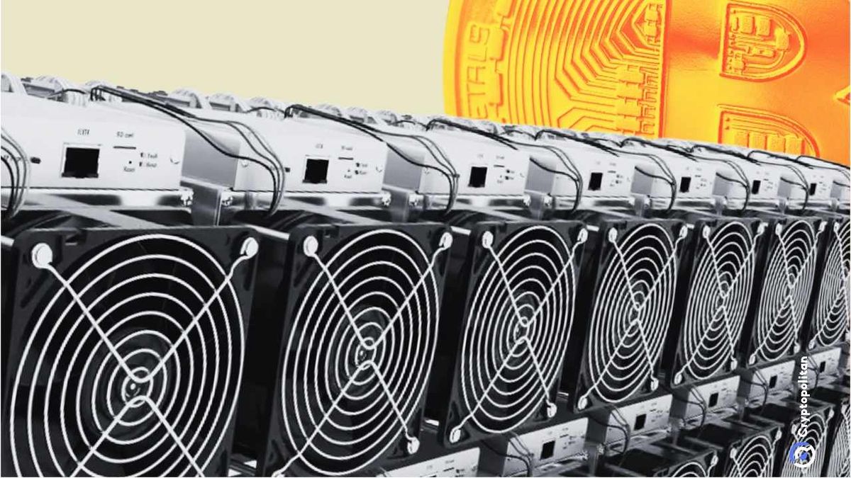 ماینرها زیر تیغ هزینهها؛ سختترین دوران سودآوری بیت کوین رقم خورد ماینرها زیر تیغ هزینهها؛ سختترین دوران سودآوری بیت کوین رقم خورد