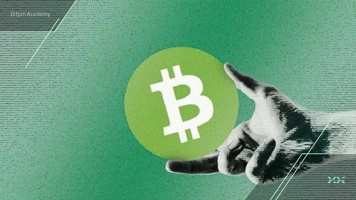 چرا بیت کوین کش بهترین لایه اول ۲۰۲۵ شد؟ تحلیل بنیادی و تکنیکال