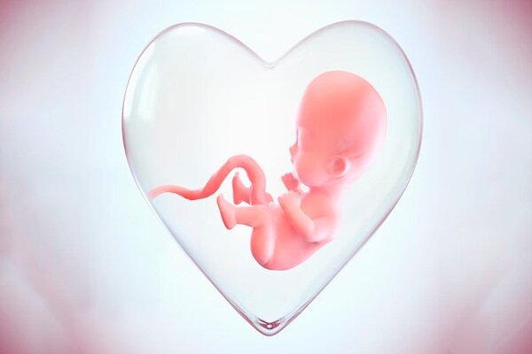 الکل در بارداری؛ خطری که با هیچ درمانی جبران نمیشود الکل در بارداری؛ خطری که با هیچ درمانی جبران نمیشود