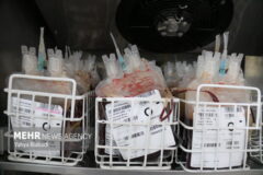 اهدای خون در ماه رمضان نباید به شب‌های قدر محدود شود