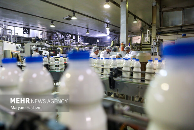 ضرورت ایجاد شبکه یکپارچه حلال در کشور ضرورت ایجاد شبکه یکپارچه حلال در کشور