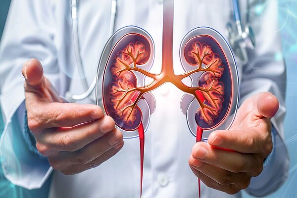 کلید پیشگیری از بیماری مزمن کلیه کلید پیشگیری از بیماری مزمن کلیه
