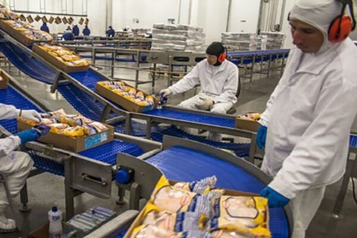 افزایش هزینه حملونقل کشتی ها در جنگ و تغییر مسیر به دور آفریقا/ تولید صنایع غذایی ۴۰ درصد بیشتر از قبل افزایش هزینه حملونقل کشتی ها در جنگ و تغییر مسیر به دور آفریقا/ تولید صنایع غذایی ۴۰ درصد بیشتر از قبل